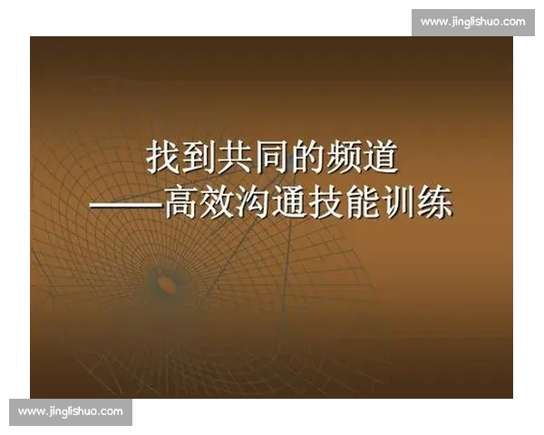 以高效沟通与团队协作提升组织执行力的实践与方法探索